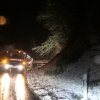 #19: Bäume über Straße