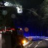 #19: Bäume über Straße