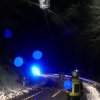 #19: Bäume über Straße